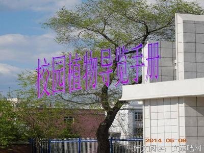 北京林业大学校园植物导览手册读后感100字