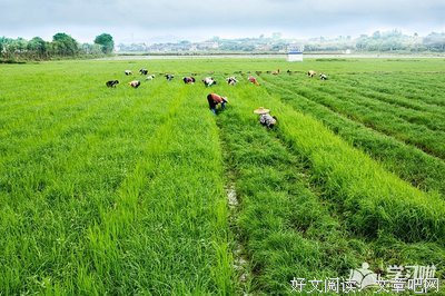 关于命若琴弦的优美句子