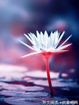 最全的《干劲的开关》经典句子