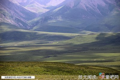 《无码派对》观后感摘抄