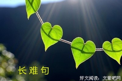 最新的《洋葱阅读法》经典的句子大全