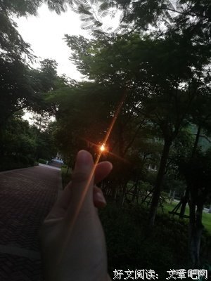 描写无动于衷的经典句子