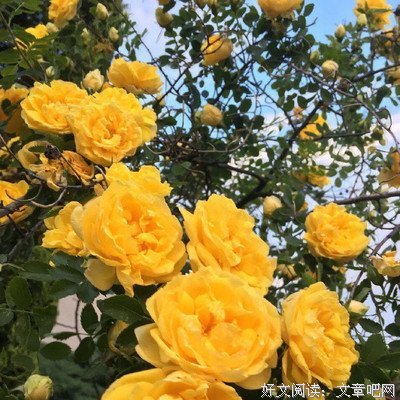 亮的句子大全