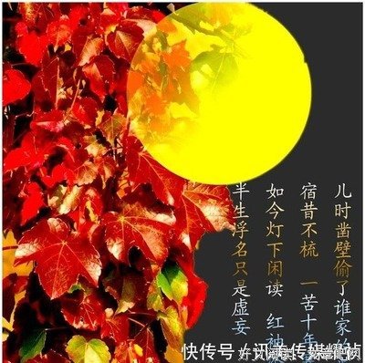 最新的《庐州断桥赋》佳句摘抄