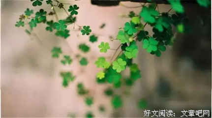 最全的《当爱倾斜时》经典名句