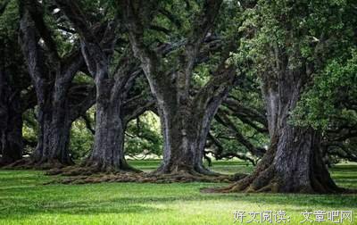 美句经典的句子