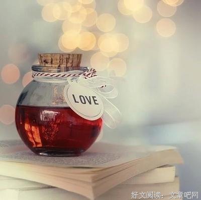 最新的《微晕的树林》经典语录