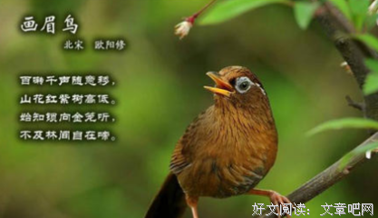《微风不及你》经典名句