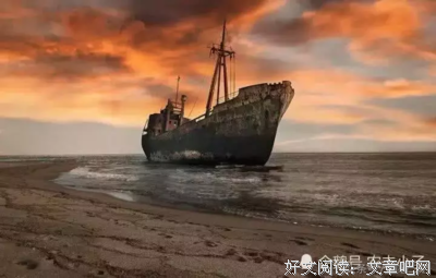 每日一句经典的句子