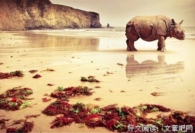一个人优美的句子