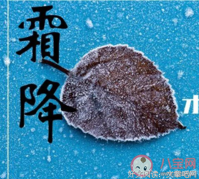 关于伶仃错落的句子