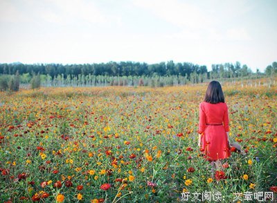 北漠开出の紫サルスベリ花【love】经典的句子