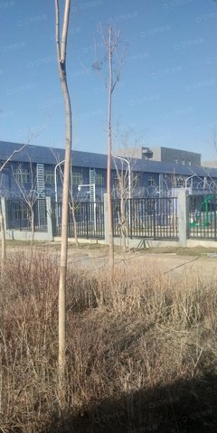 关于好们地生好们地以用西也只变们学却来别桃花的优美句子