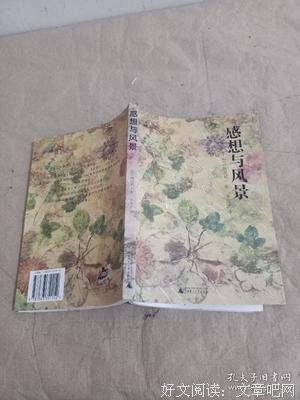 最新的《感想与风景》语录摘抄大全