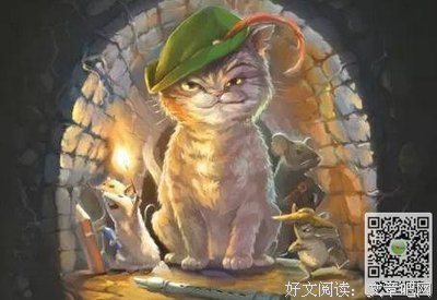 猫和少年魔笛手读后感锦集