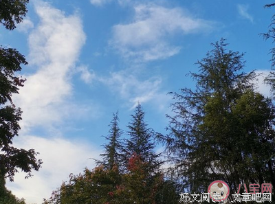 非常喜欢句子大全