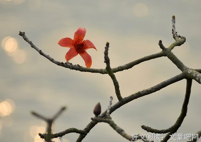 《收集》的句子