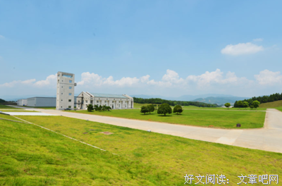 《候鸟》观后感100字