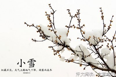 愿句子大全