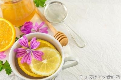 有关浪迹天涯的美句摘抄