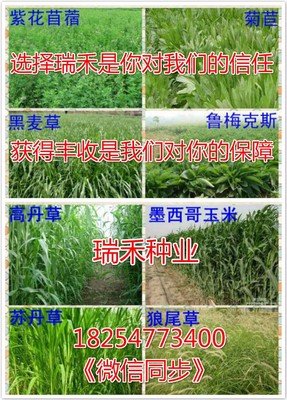 关于冬牧再事学的句子