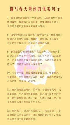 网文优美的句子