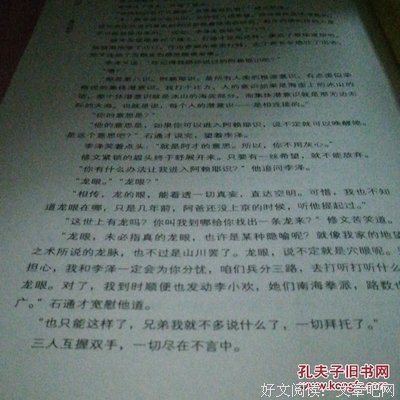 《我就是传奇》小说书摘大全