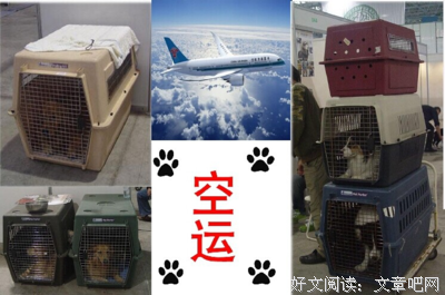 姚辰钧经典名句