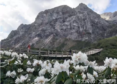 最新的美丽传说的名言