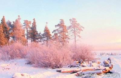 无与伦比的语句摘抄_关于无与伦比的语句