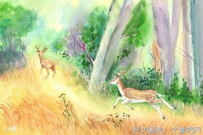有关徐志摩的句子