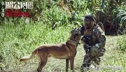 《爱上特种兵》经典影评有感