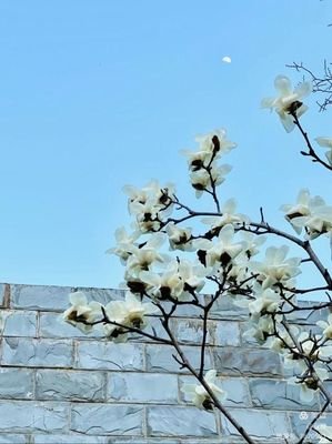 最经典的《握一把苍凉》经典语句