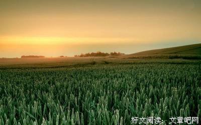 关于爱里那些放不下的伤的句子