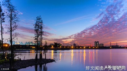 有关随性的句子