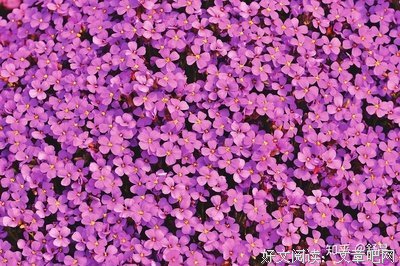 《靈魂永生（賽斯書）》读后感锦集