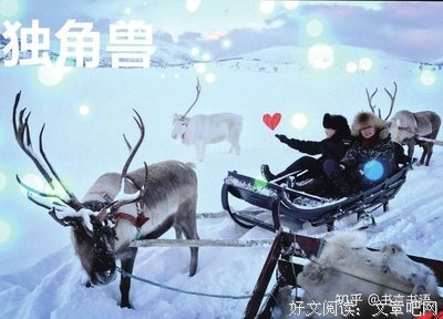 最新的《明亮的对话》佳句摘抄大全
