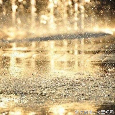 最新的《曾经深爱过》小说摘抄