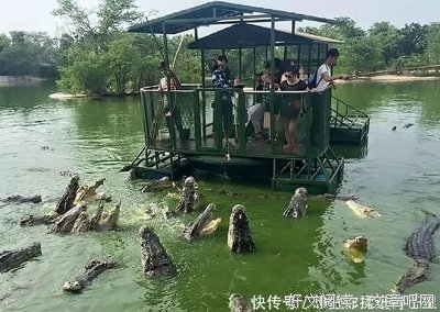 “信不信，你以后是我老婆”，17年过去了，我把他治得服服帖帖