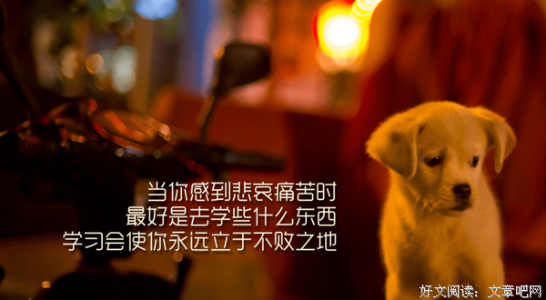 2019蛊对就看人的名言