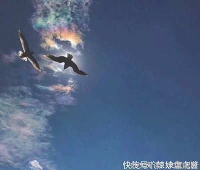 听你说的句子
