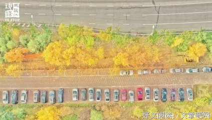 最新的《未完成的歌》名句欣赏大全