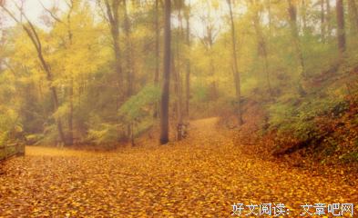 《未选择的路》经典语句