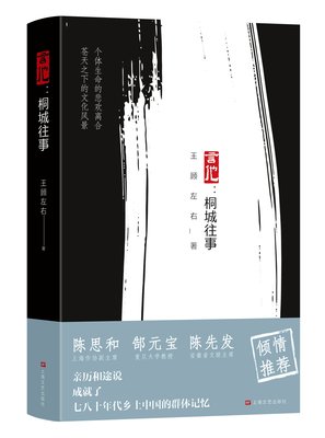 《言他：桐城往事》读后感100字