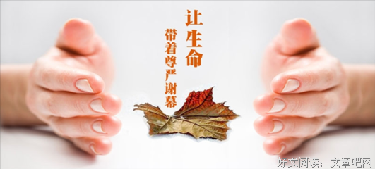 和秋叶一起学：秒懂Word+Excel+PPT（套装）读后感锦集