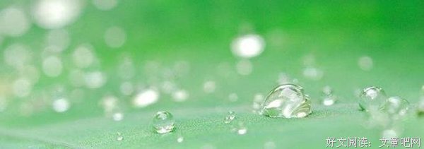 最经典的《杂草的故事》经典语句