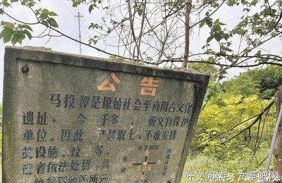 关于柳暗花明的语句