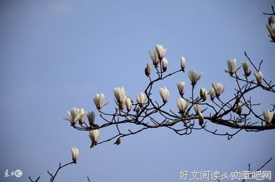 泮冰集名句欣赏