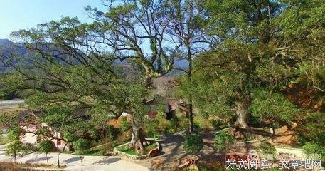 最全的《梦千年之恋》经典句子