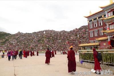 《批判性思维：反盲从，做聪明的思考者》读后感1000字